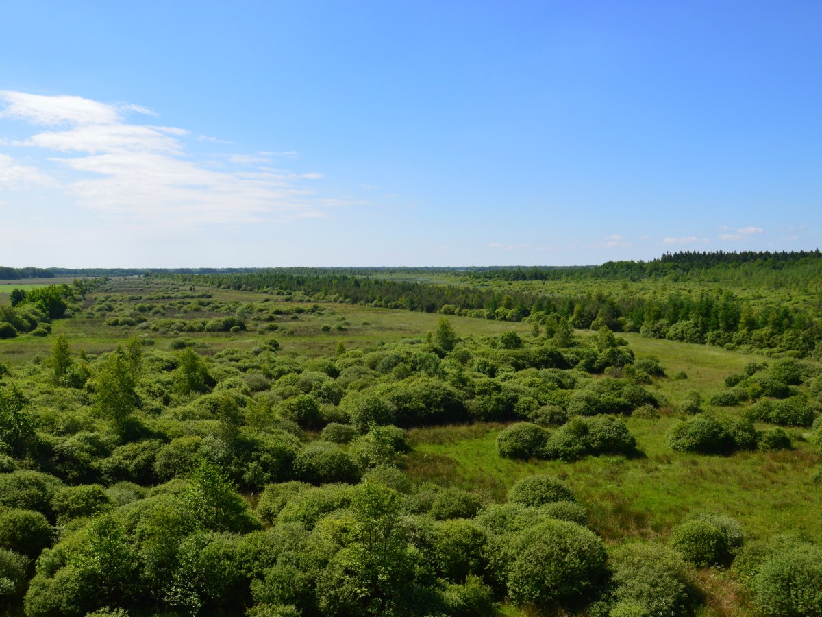Verantwoordelijkheid en schuld?